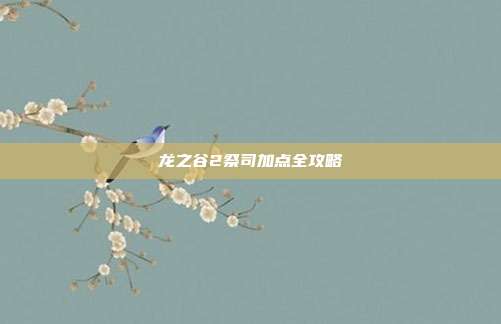 龙之谷2祭司加点全攻略