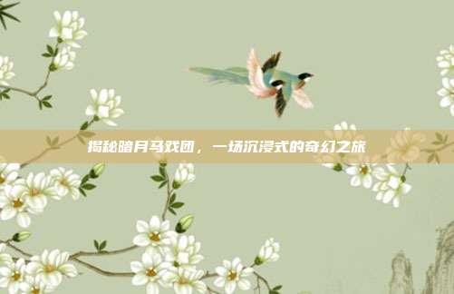 揭秘暗月马戏团,一场沉浸式的奇幻之旅