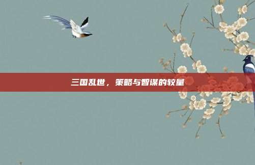 三国乱世，策略与智谋的较量