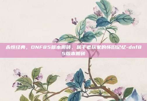 永恒经典，DNF85版本搬砖，属于老玩家的怀旧记忆-dnf85版本搬砖