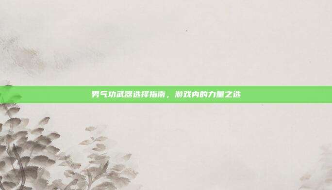 男气功武器选择指南,游戏内的力量之选