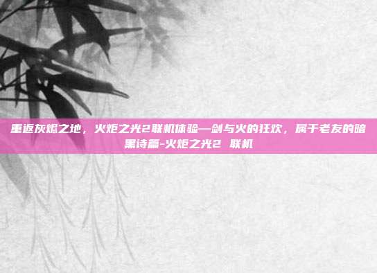 重返灰烬之地,火炬之光2联机体验—剑与火的狂欢,属于老友的暗黑诗篇-火炬之光2 联机