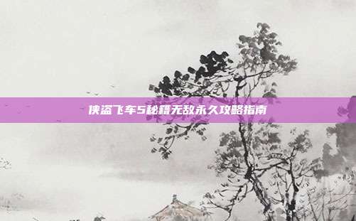 侠盗飞车5秘籍无敌永久攻略指南