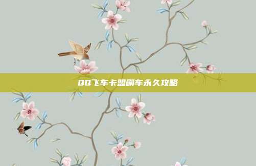 QQ飞车卡盟刷车永久攻略