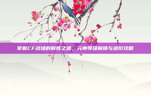 掌握CF战场的制胜之道,元帅等级解锁与进阶攻略