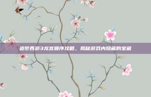 造梦西游3龙宫顺序攻略,揭秘游戏内隐藏的宝藏