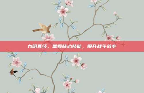 九阴真经,掌握核心技能,提升战斗效率