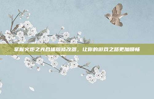 掌握火炬之光合体版修改器，让你的游戏之路更加顺畅