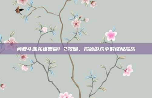 勇者斗恶龙怪兽篇1 2攻略，揭秘游戏中的终极挑战