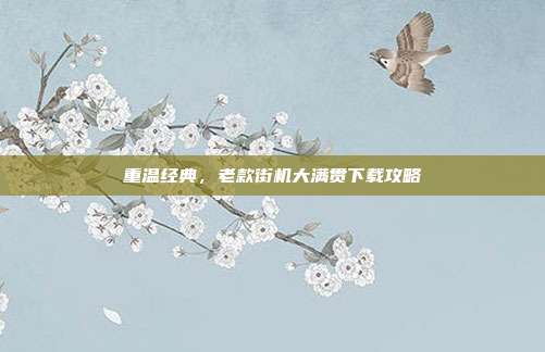 重温经典，老款街机大满贯下载攻略