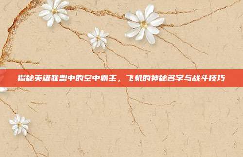 揭秘英雄联盟中的空中霸主，飞机的神秘名字与战斗技巧