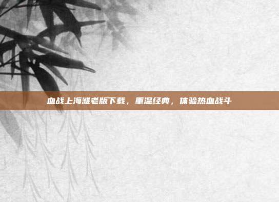血战上海滩老版下载,重温经典,体验热血战斗