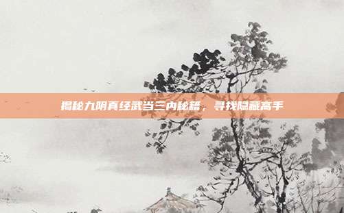 揭秘九阴真经武当三内秘籍,寻找隐藏高手