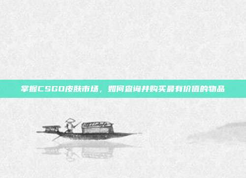 掌握CSGO皮肤市场,如何查询并购买最有价值的物品