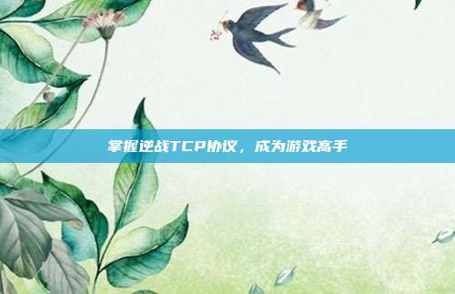 掌握逆战TCP协议,成为游戏高手