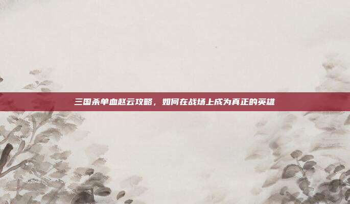 三国杀单血赵云攻略,如何在战场上成为真正的英雄