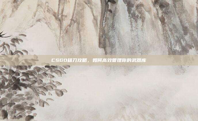 CSGO租刀攻略,如何高效管理你的武器库