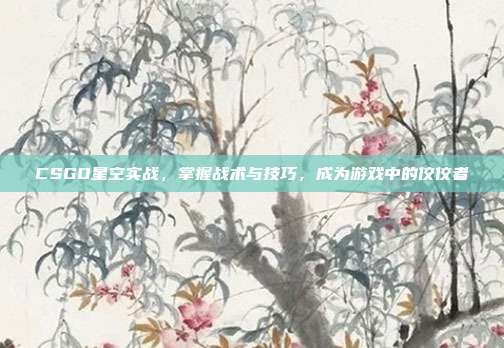 CSGO星空实战,掌握战术与技巧,成为游戏中的佼佼者