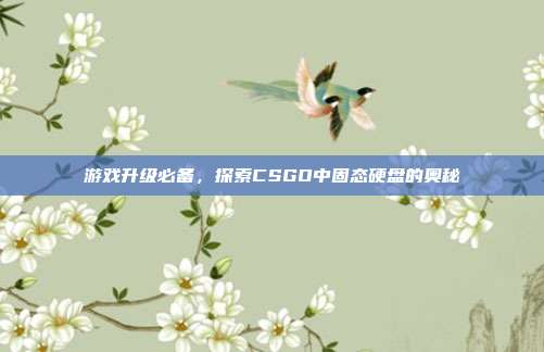 游戏升级必备，探索CSGO中固态硬盘的奥秘