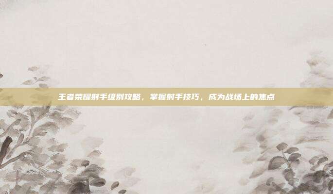 王者荣耀射手级别攻略,掌握射手技巧,成为战场上的焦点