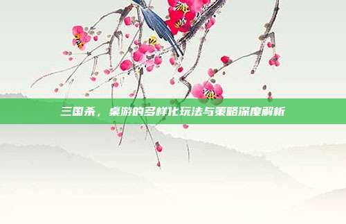 三国杀,桌游的多样化玩法与策略深度解析
