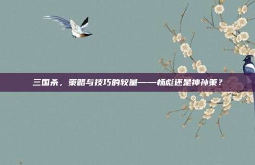 三国杀,策略与技巧的较量——杨彪还是神孙策?