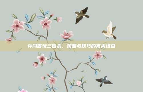 孙尚香玩三国杀,策略与技巧的完美结合