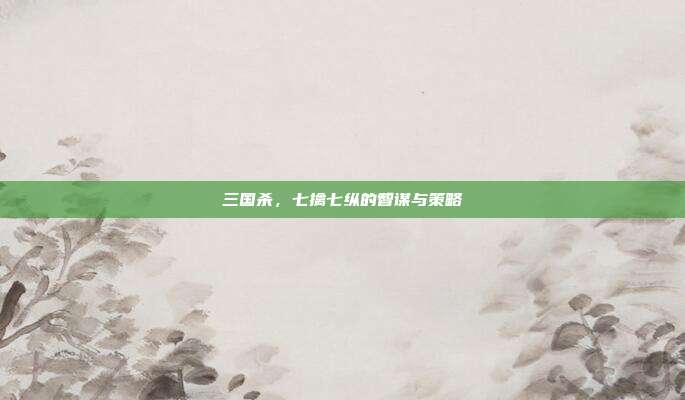 三国杀,七擒七纵的智谋与策略