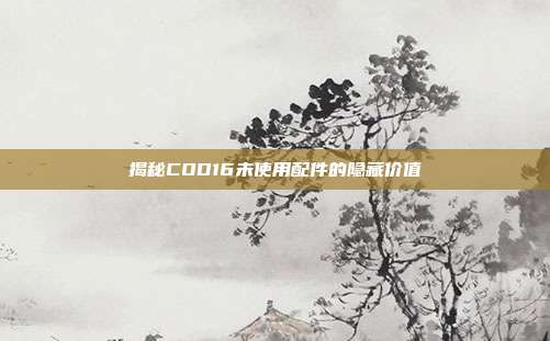 揭秘COD16未使用配件的隐藏价值