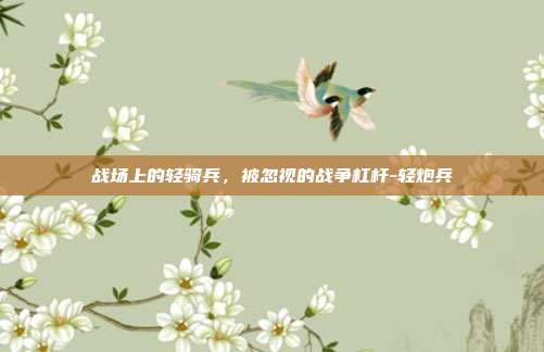 战场上的轻骑兵，被忽视的战争杠杆-轻炮兵
