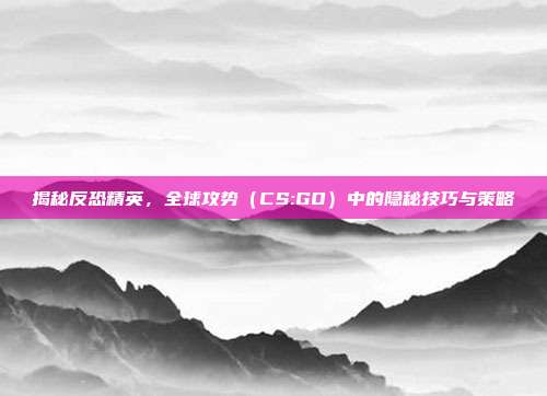 揭秘反恐精英，全球攻势（CS:GO）中的隐秘技巧与策略