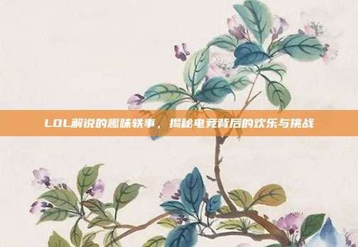 LOL解说的趣味轶事,揭秘电竞背后的欢乐与挑战