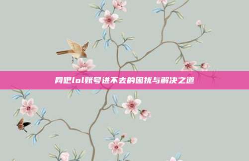网吧lol账号进不去的困扰与解决之道