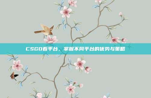CSGO看平台,掌握不同平台的优势与策略