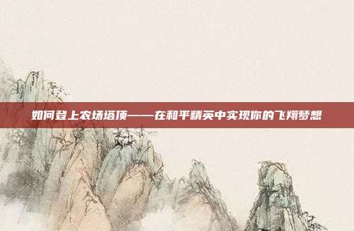 如何登上农场塔顶——在和平精英中实现你的飞翔梦想