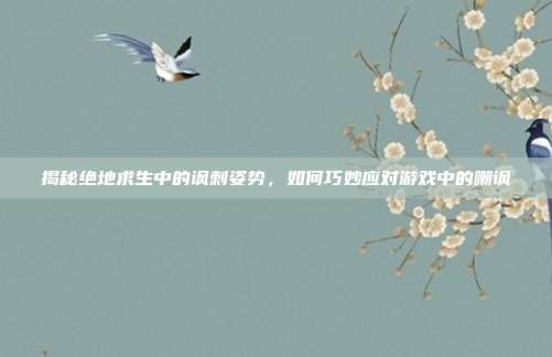 揭秘绝地求生中的讽刺姿势,如何巧妙应对游戏中的嘲讽
