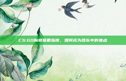 CS:GO胸章佩戴指南，如何成为团队中的焦点