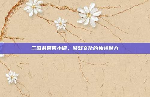 三国杀民间小调,游戏文化的独特魅力