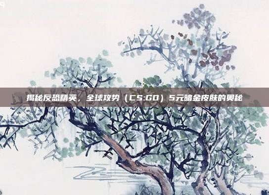揭秘反恐精英,全球攻势(CS:GO)5元暗金皮肤的奥秘