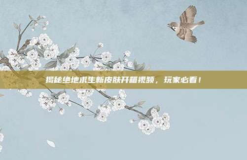 揭秘绝地求生新皮肤开箱视频,玩家必看!