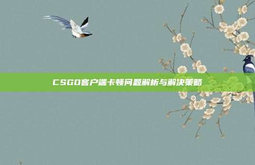 CSGO客户端卡顿问题解析与解决策略