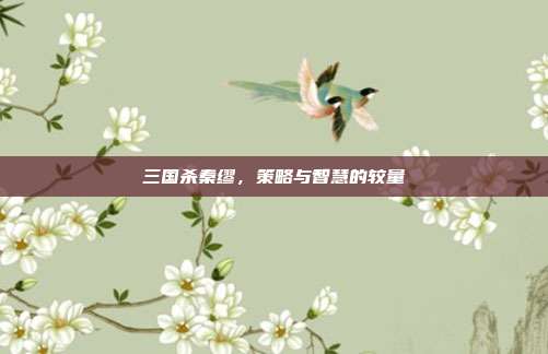 三国杀秦缪,策略与智慧的较量
