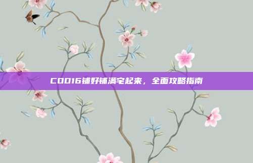 COD16铺好铺满宅起来,全面攻略指南