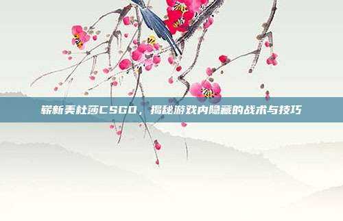 崭新美杜莎CSGO,揭秘游戏内隐藏的战术与技巧