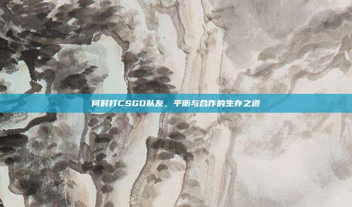 何时打CSGO队友,平衡与合作的生存之道