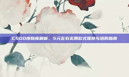 CSGO皮肤库解析,5元左右实用款式推荐与选购指南