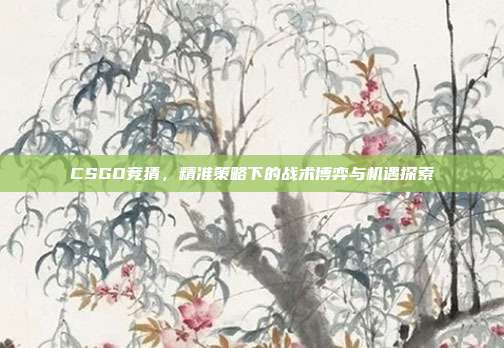 CSGO竞猜，精准策略下的战术博弈与机遇探索