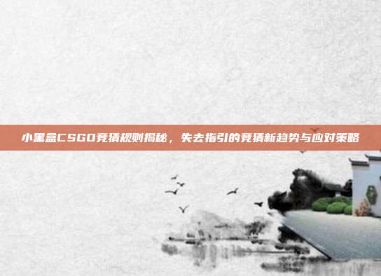 小黑盒CSGO竞猜规则揭秘,失去指引的竞猜新趋势与应对策略
