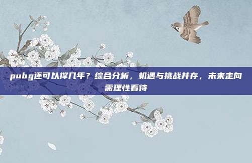 pubg还可以撑几年？综合分析，机遇与挑战并存，未来走向需理性看待