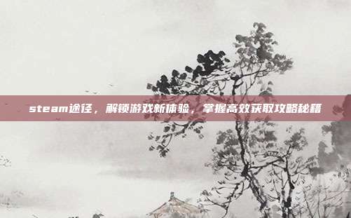 steam途径,解锁游戏新体验,掌握高效获取攻略秘籍